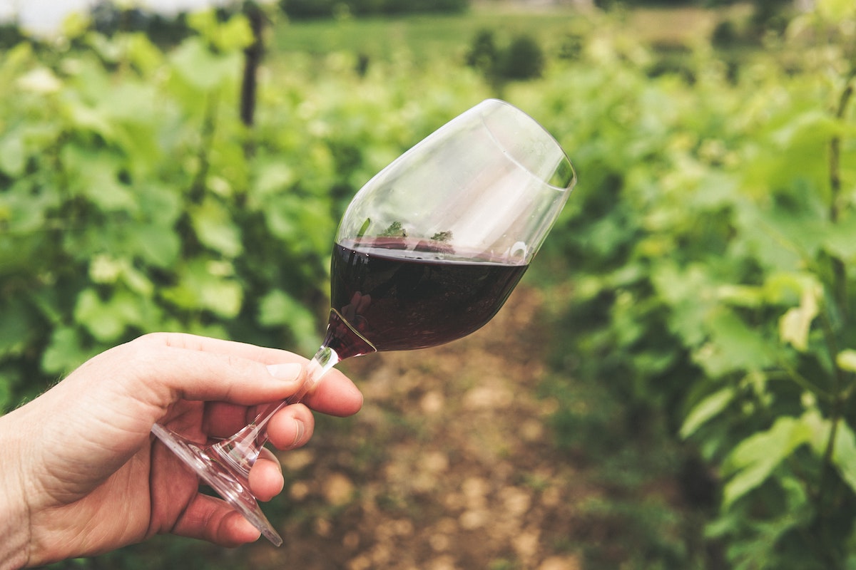 Can you buy Sulfite-Free Wines?