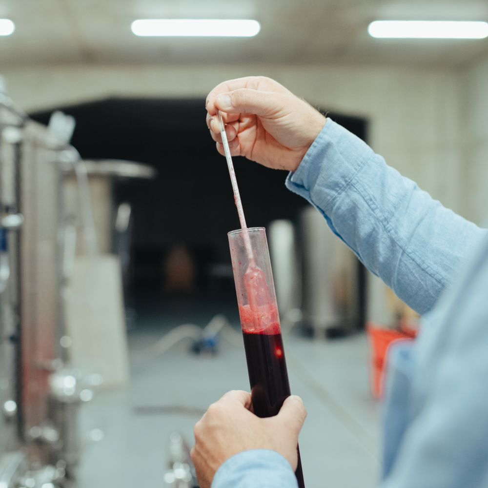 photo of a chemist testing a beaker filled with wine
