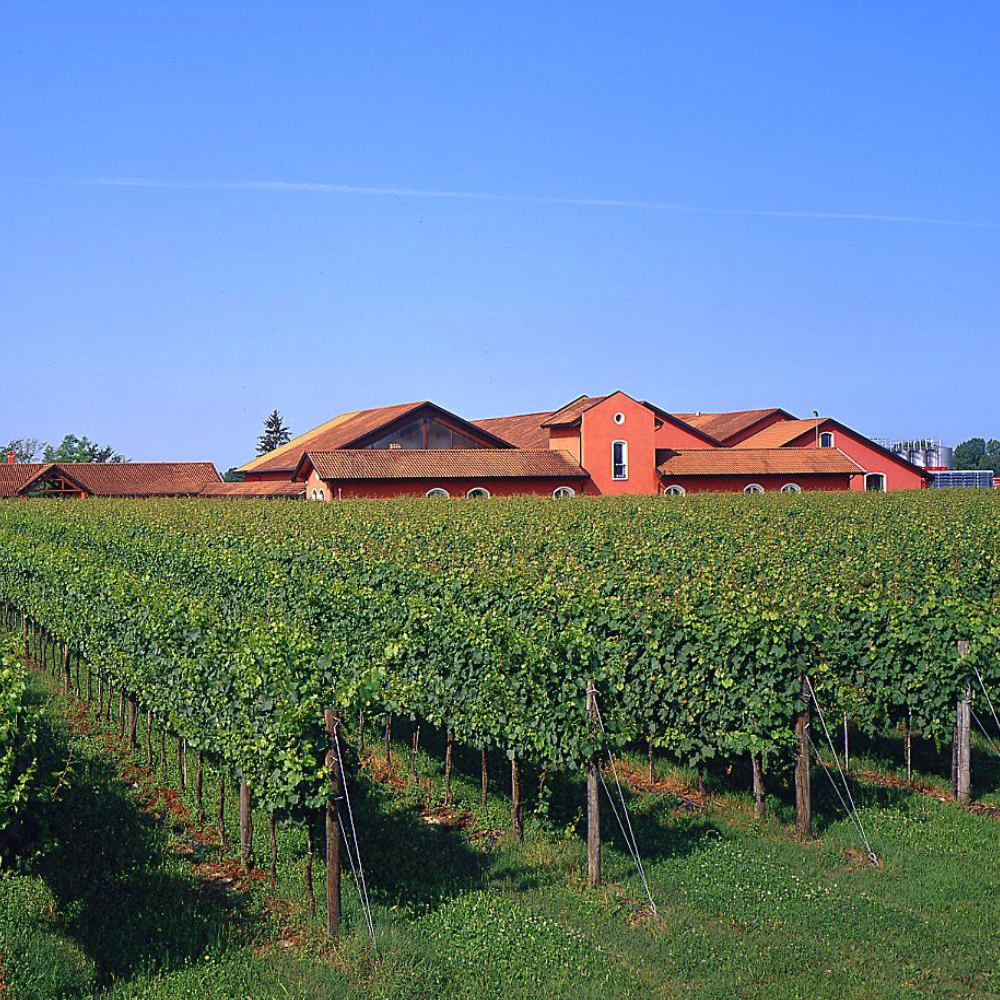 exterior photo of San Simone natural winery in Friuli, Italy
