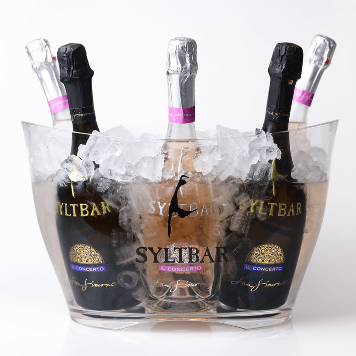 Easy Rider Acrylic Ice Bucket