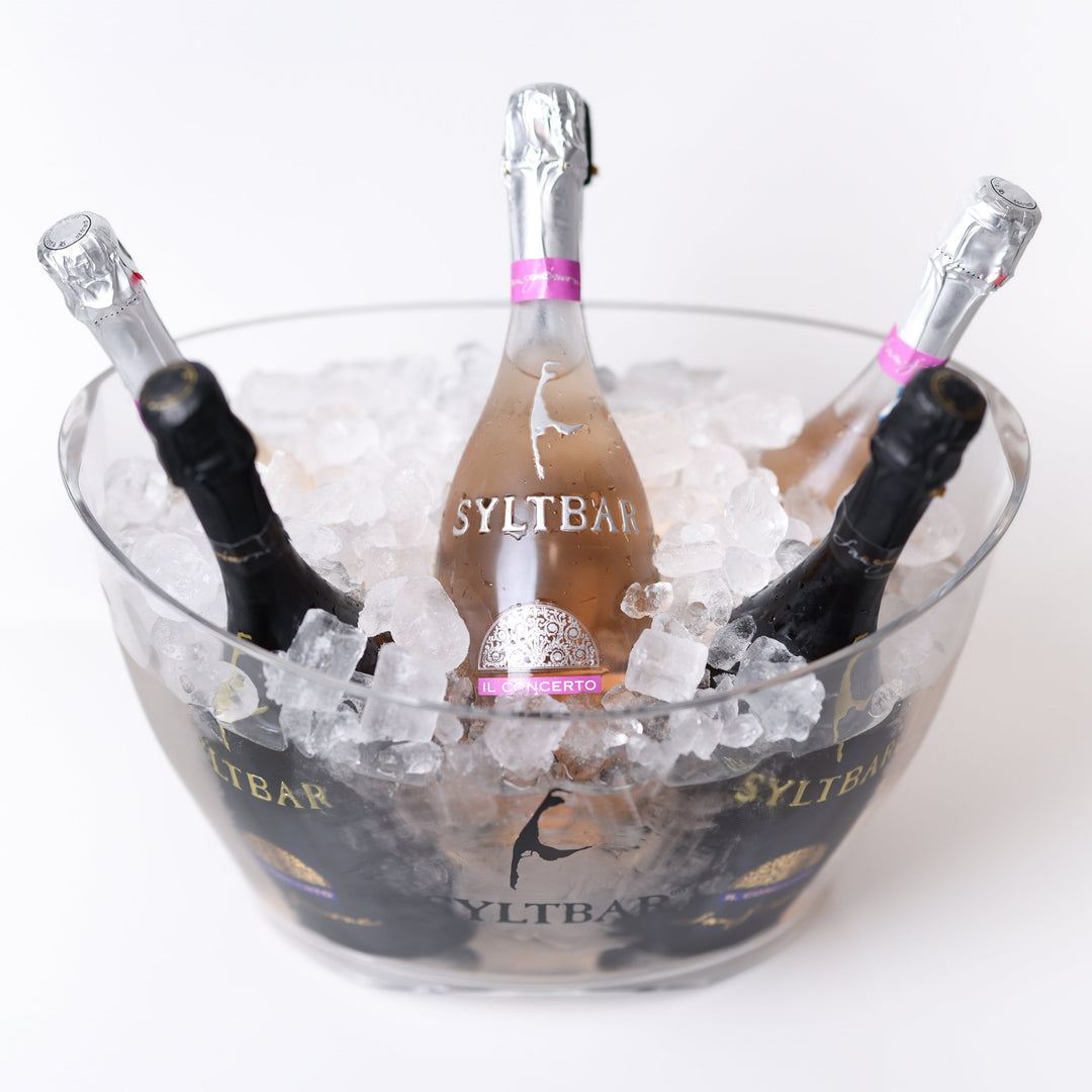 Easy Rider Acrylic Ice Bucket