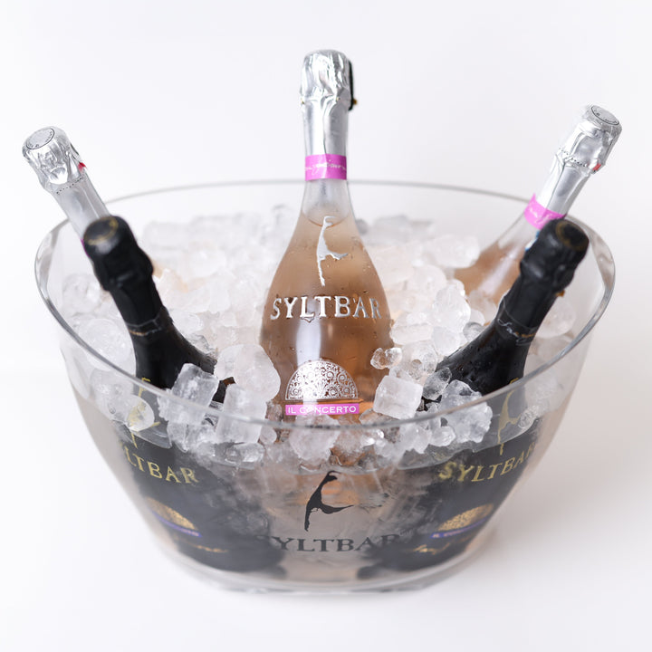 Easy Rider Acrylic Ice Bucket