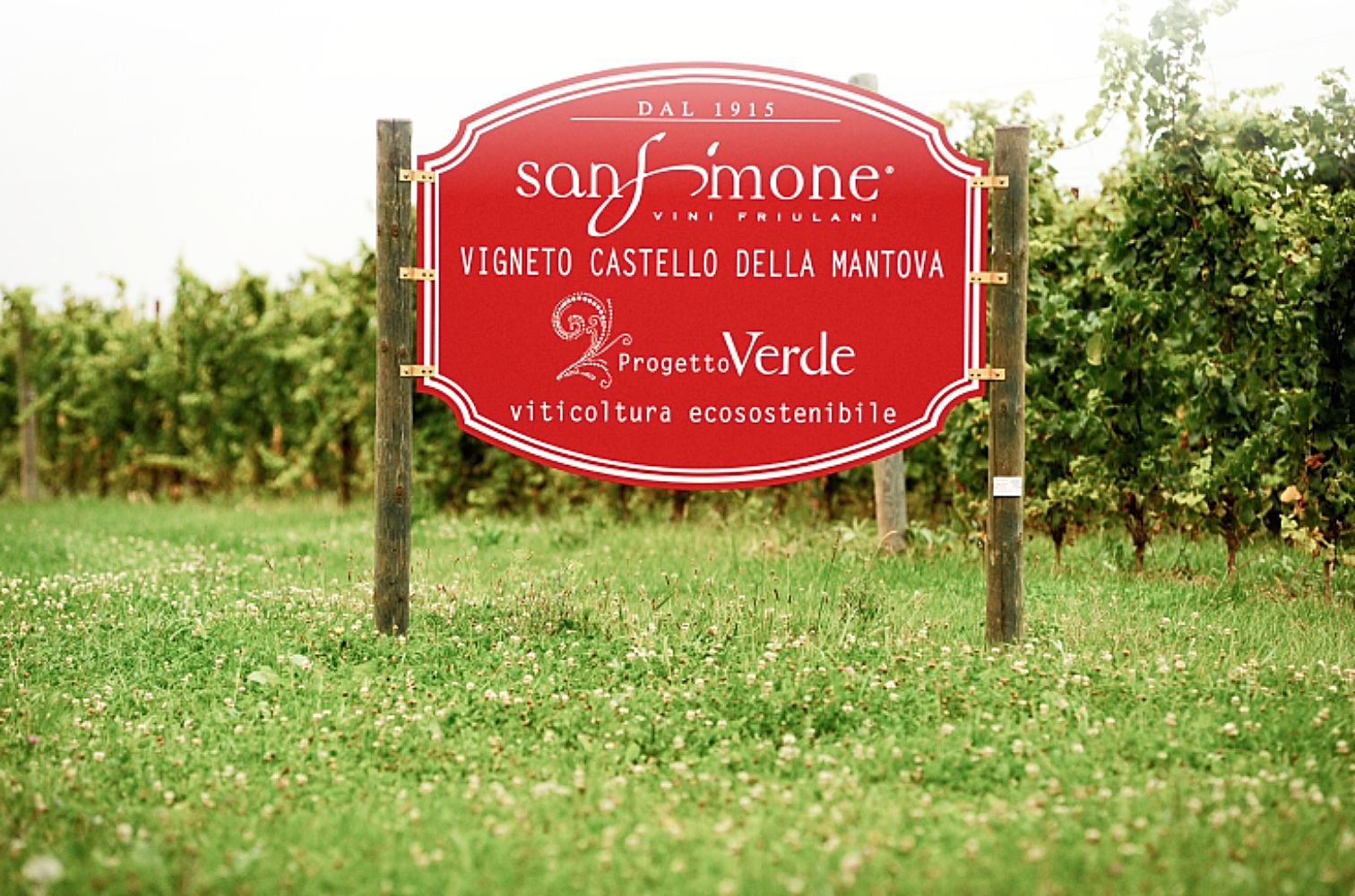 sign for the San Simone natural winery in Friuli, Italy