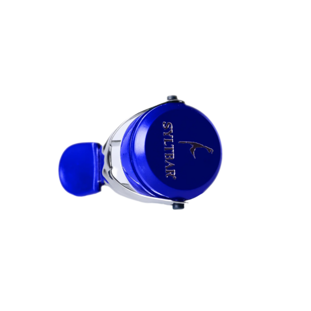 Champagne Bottle Stopper - Blue