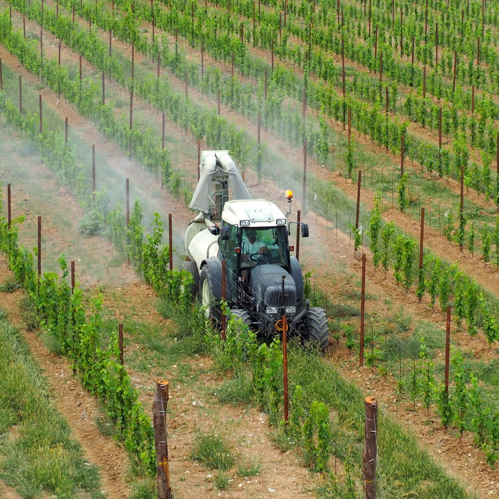 photo of a tractor spraying pesticides and chemicals all over grapes in a vineyard