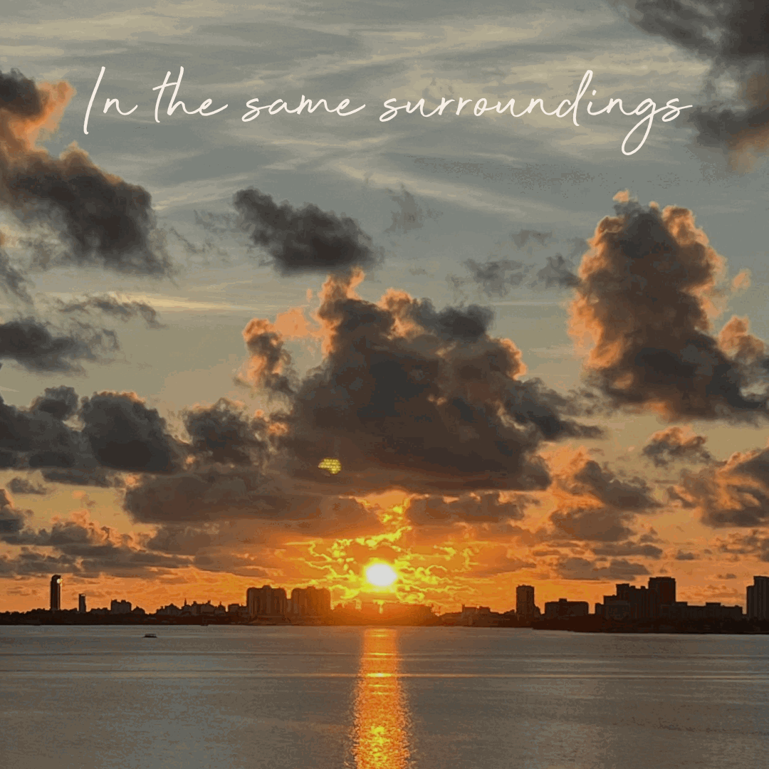 Mrs Martin and Mr Blohm - Episode 19: In the same surroundings, everyone sees a different world