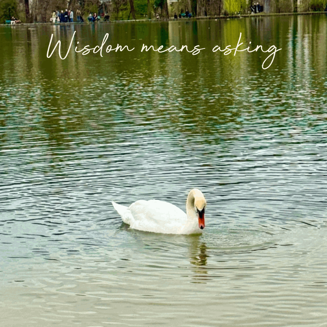 Mrs Martin and Mr Blohm – Episode 21 Wisdom means asking the right question