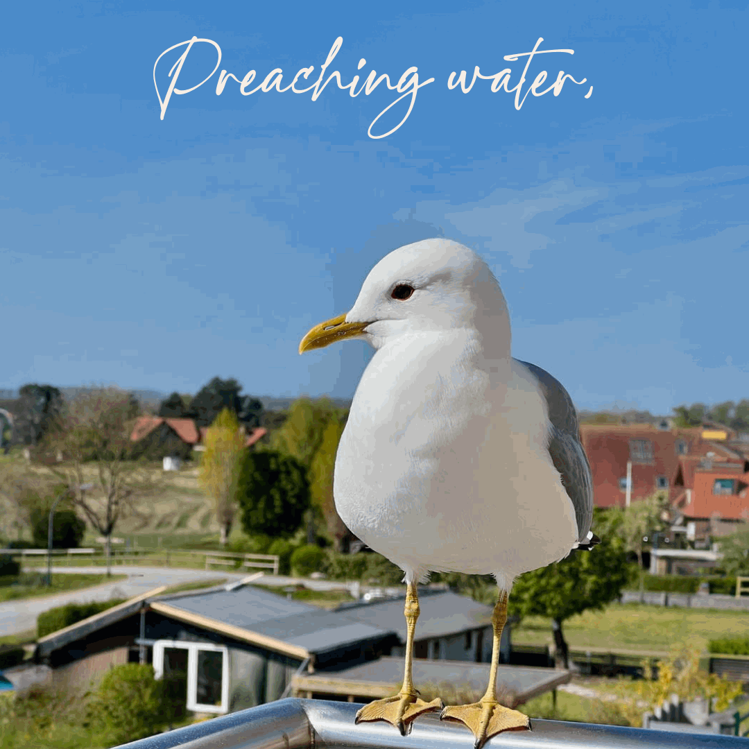 Mrs Martin and Mr Blohm Epsiode 29:  Preaching water, but drinking wine!
