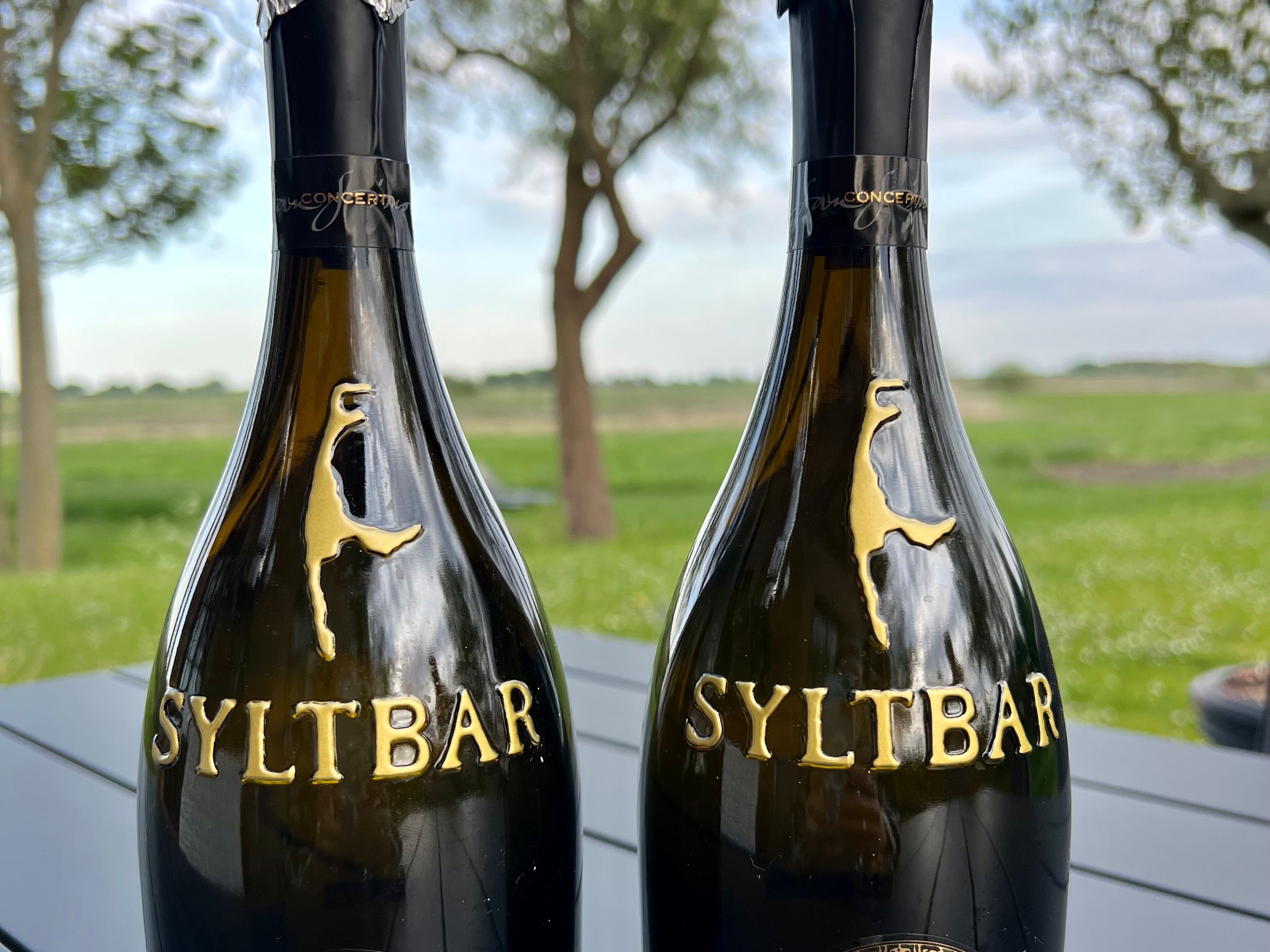 The Health Benefits of Drinking SYLTBAR’s Low-Calorie Prosecco