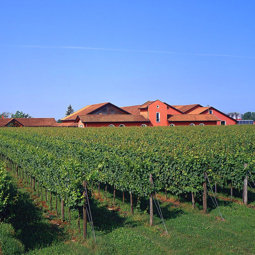 exterior photo of the San Simone winery in Friuli, Italy.