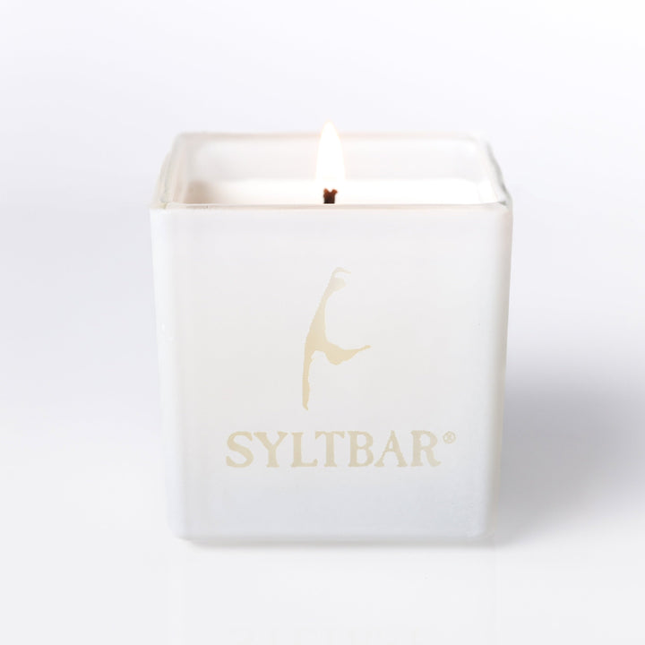 Travel Soy Freedom Candle