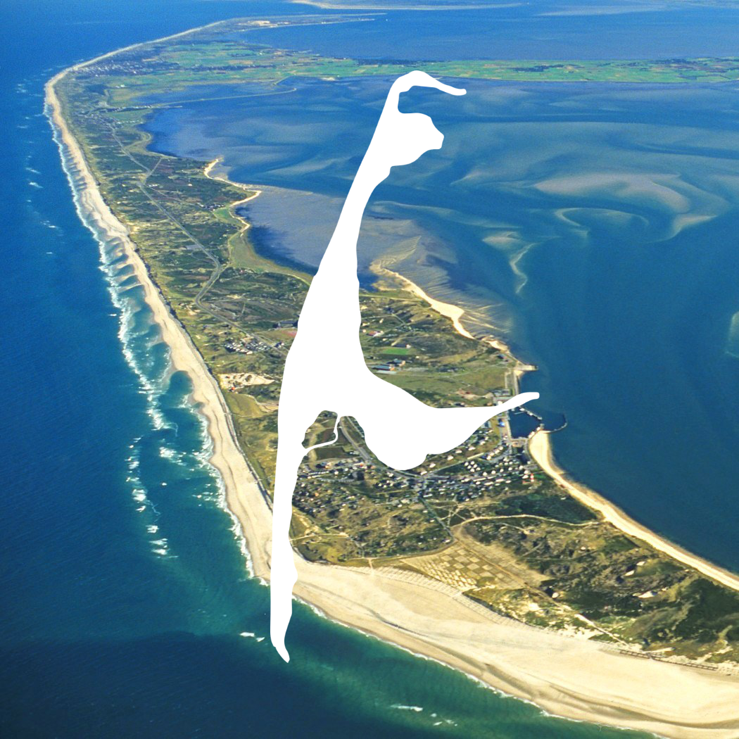 arial photo of the Sylt Island in Germany with a the SYLTBAR logo overlaid on top