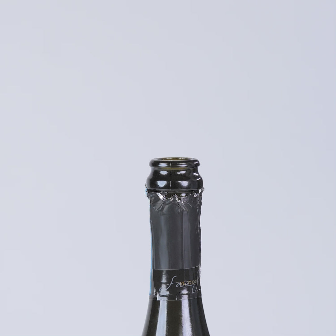 Champagne Bottle Stopper Six Pack