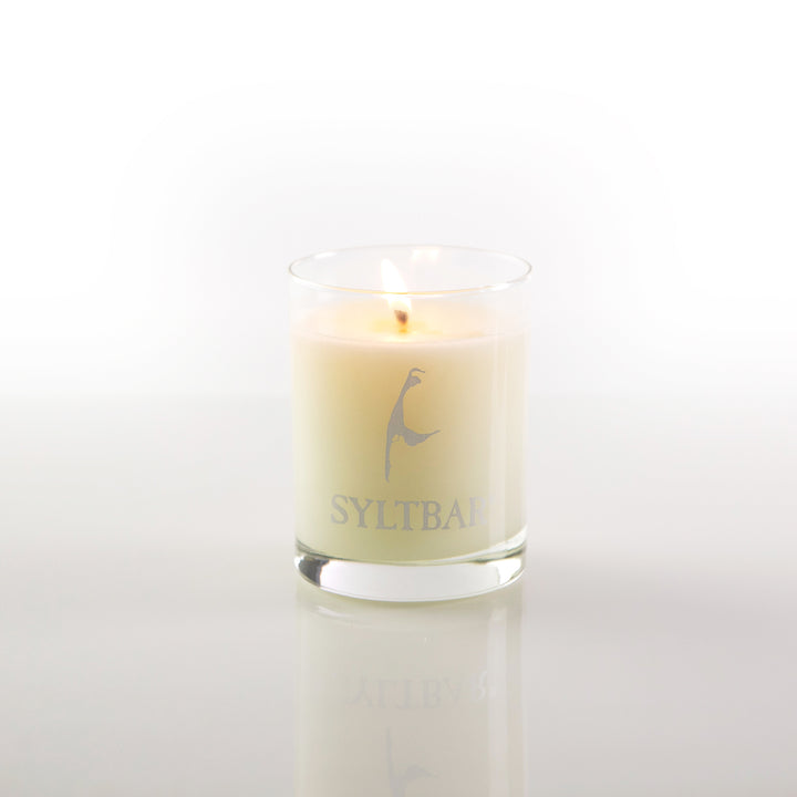 Believe Soy Candle (Limoncello & Verbena)